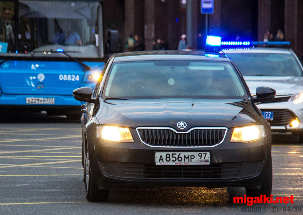 Migalochnaya Tema Fotografii Avtomobilej Na O001oo Ru Sajt O Mechenyh Vlastyu